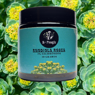 Rhodiola Rosea 3% Salidrosidos Extracto Polvo 30gr